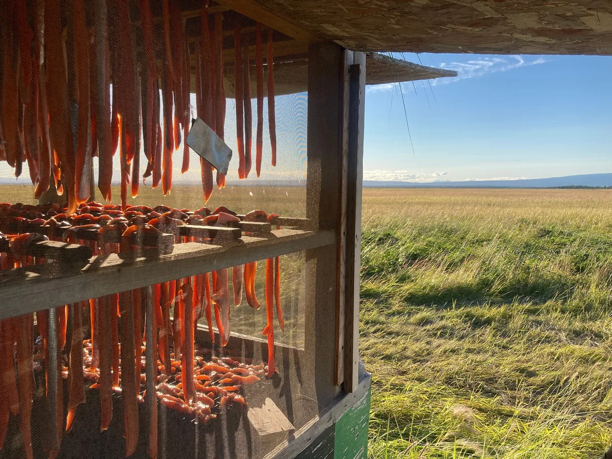 Alaska Gov. Dunleavy passes over tribal advocate for fishery council post, fueling calls for change