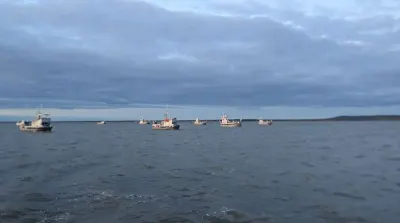 Alaska salmon fishermen fume over low prices, but processors say they're hurting too