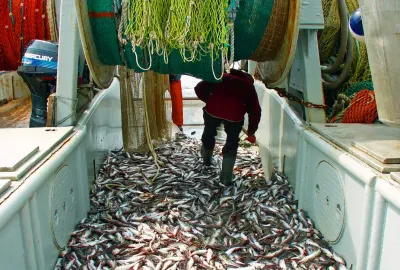 Alaska troopers seize Kodiak trawl group’s electronics in bycatch probe