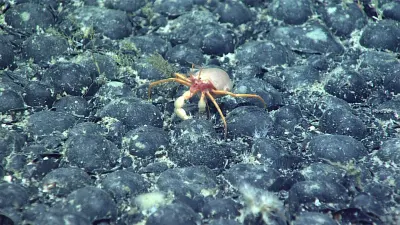 First he scoured the Pacific for Amelia Earhart’s missing plane. Now he wants to search Alaska’s seafloor for minerals.