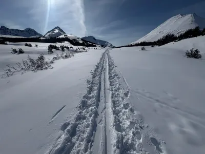 A Northern Journal spring update, and a Q&A with Matt Schultz