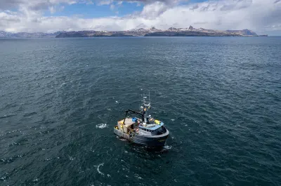 Shrinking prize: Amid halibut's decline, challenges mount for Alaska and Washington fishing crews