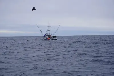 To protect orcas, federal judge orders closure of iconic Southeast Alaska troll fishery