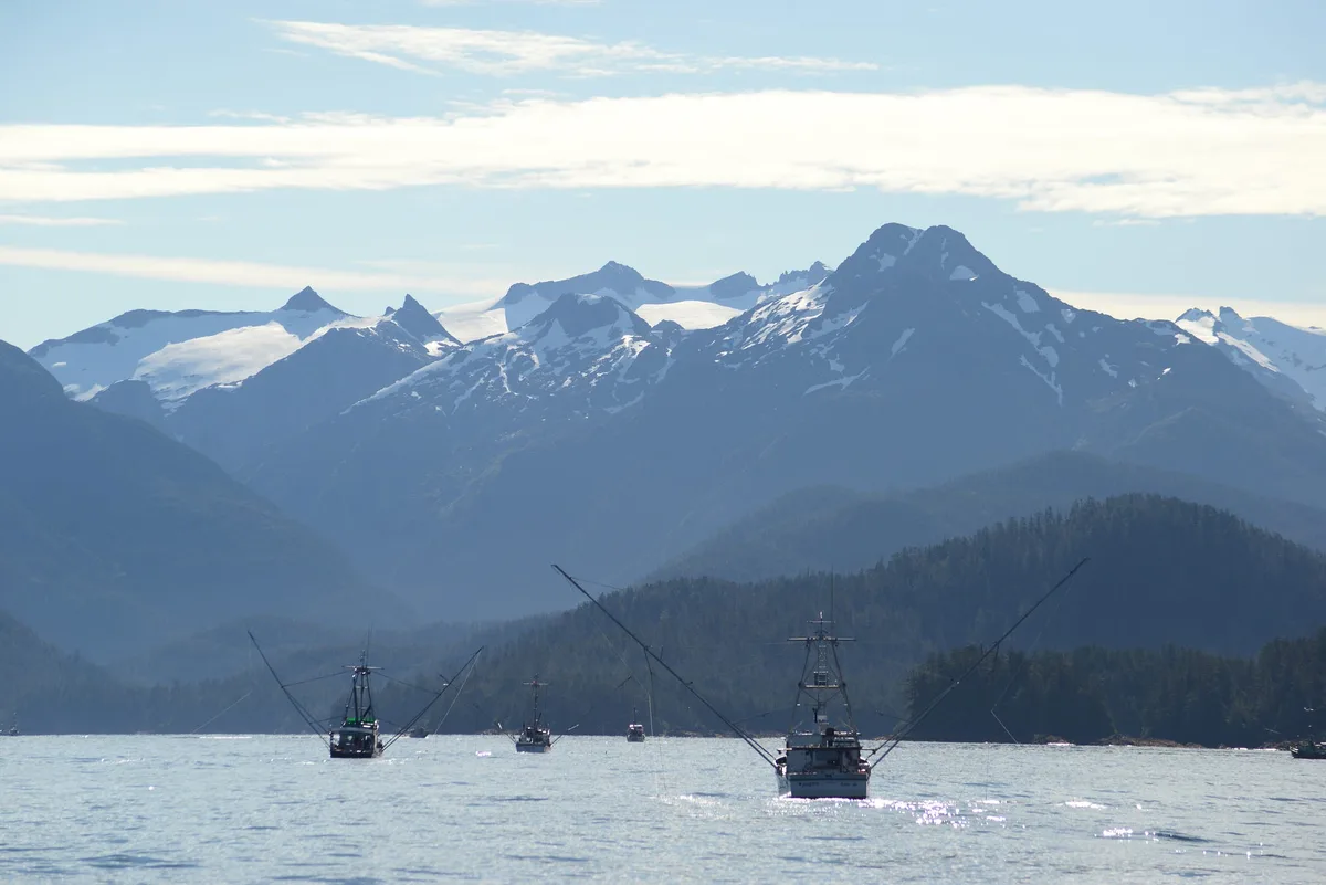 Updated: In "major victory" for Southeast Alaska trollers, federal appeals panel reverses fishery closure