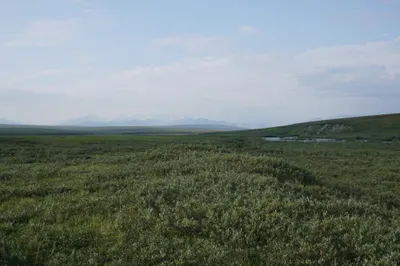 With industry wary of Arctic Refuge, Alaska's own government plans a lonely quest for oil